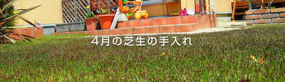 4月の芝生の手入れはエアレーション 肥料 雑草対策がポイント 芝生の手入れや植え方の紹介 芝生生活