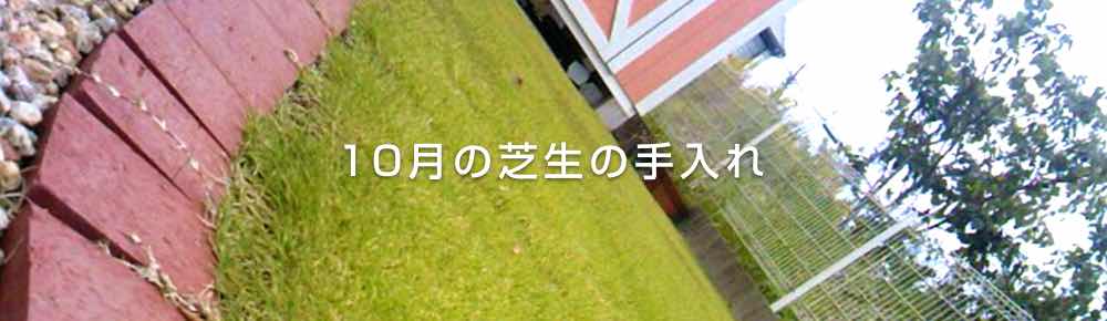 10月の芝生の手入れ