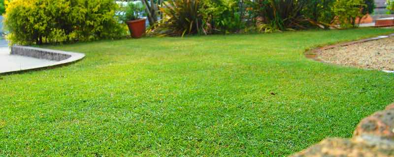 芝生の植え方 張り方 芝生の手入れや植え方の紹介 芝生生活