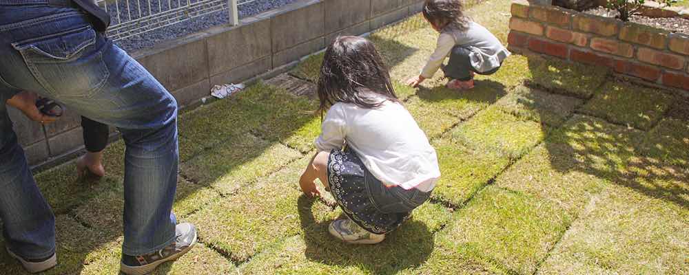 芝張りのやり直し