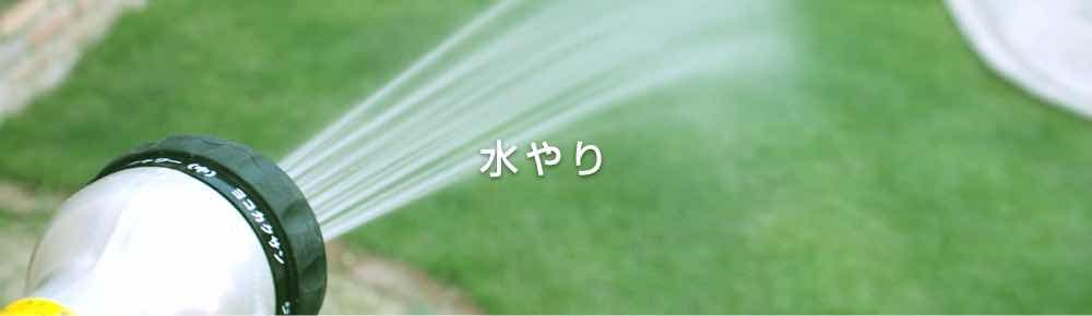 芝生の手入れ 水やり