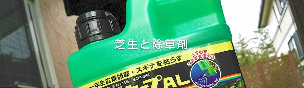 芝生の除草剤 知らないと危険 失敗しない除草剤の使い方 芝生の手入れや植え方の紹介 芝生生活