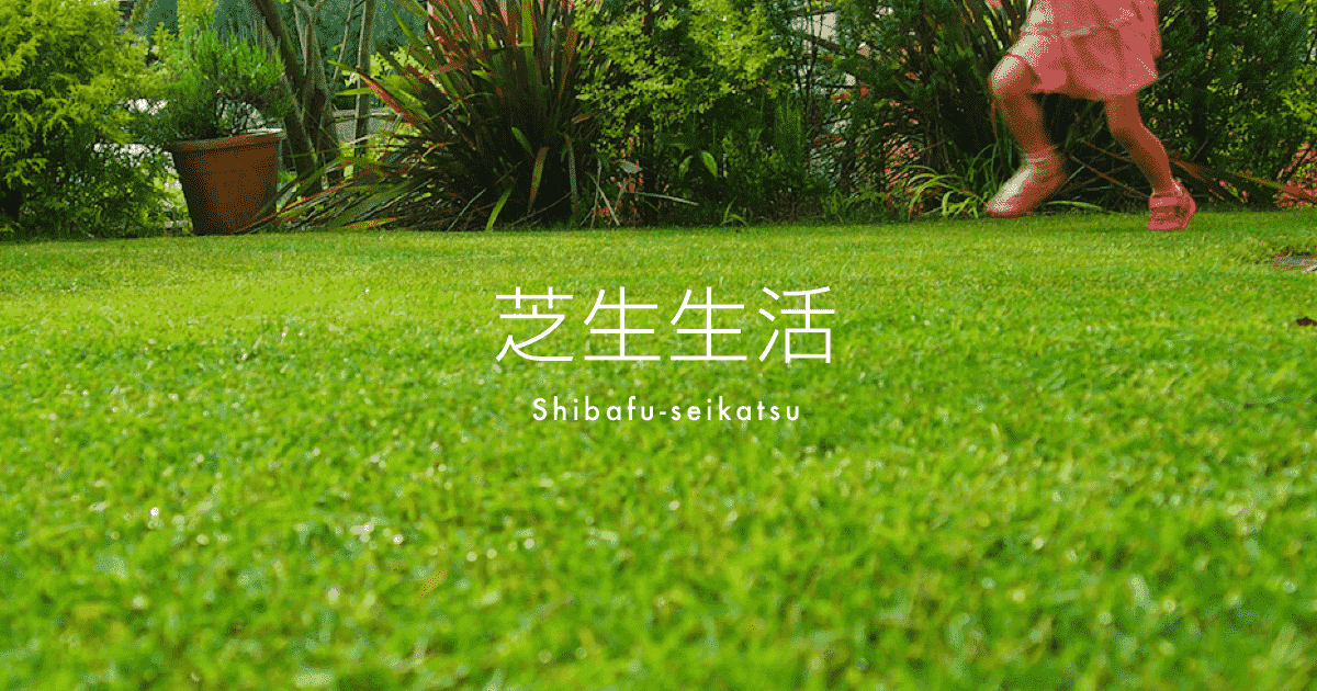 日本芝の特徴 種類 芝生の手入れや植え方の紹介 芝生生活