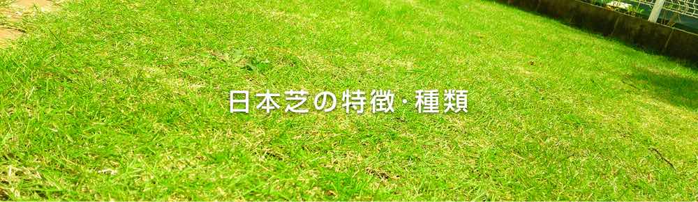 日本芝の特徴･種類