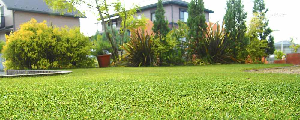 芝生の肥料 – 散布時期や肥料の種類 | 芝生の手入れや植え方の紹介