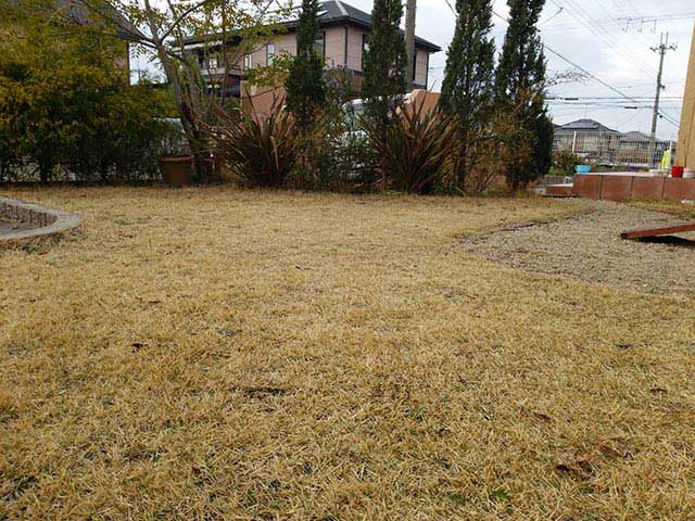 除草剤を使った芝生