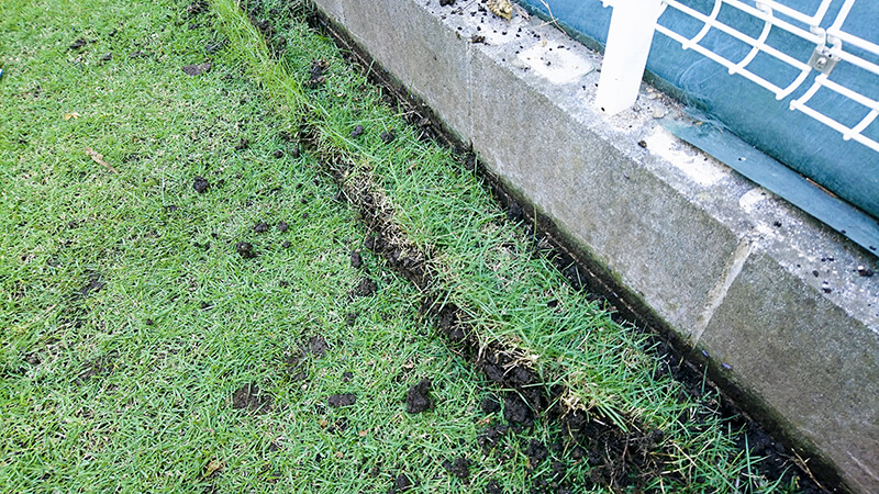 芝生の根切り