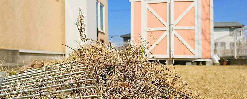 3月の芝生の手入れはサッチング 芝生ブログ 芝生の手入れや植え方の紹介 芝生生活