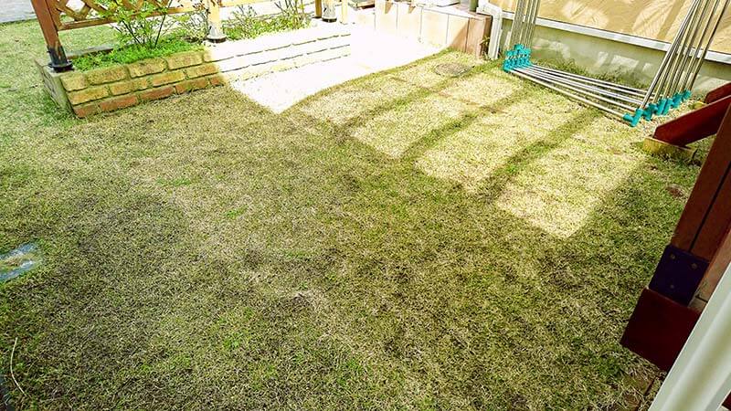 芝生が元気に育たない原因は土の固さにある 芝生ブログ 芝生の管理日記