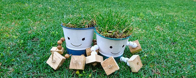 芝生を植える時の注意点 高麗芝 芝生ブログ 芝生の手入れや植え方の紹介 芝生生活