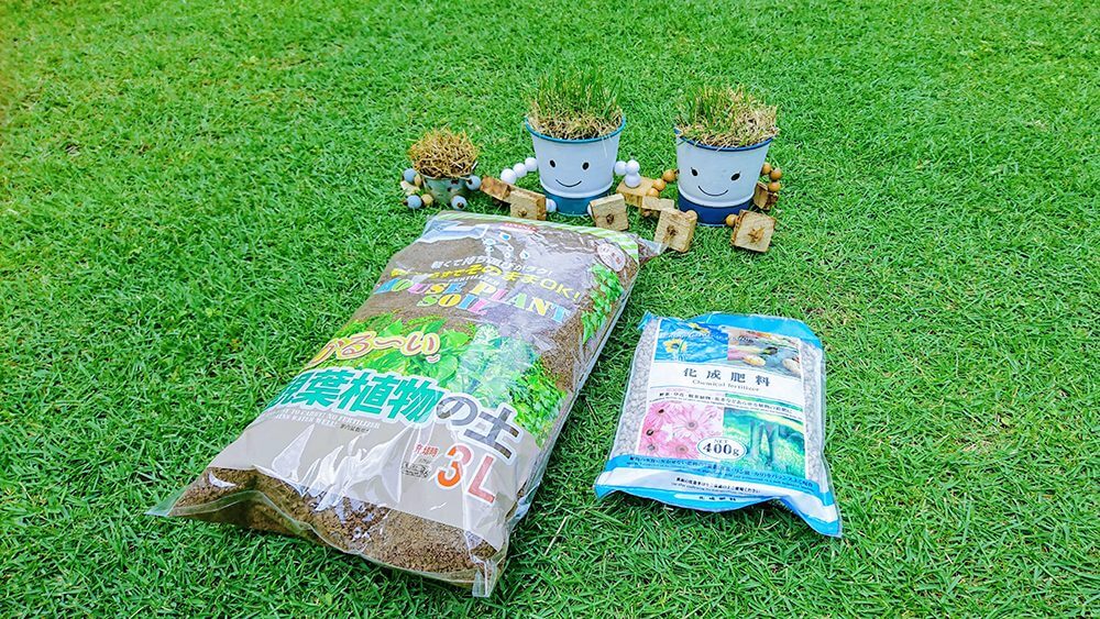 観葉植物の土と化成肥料